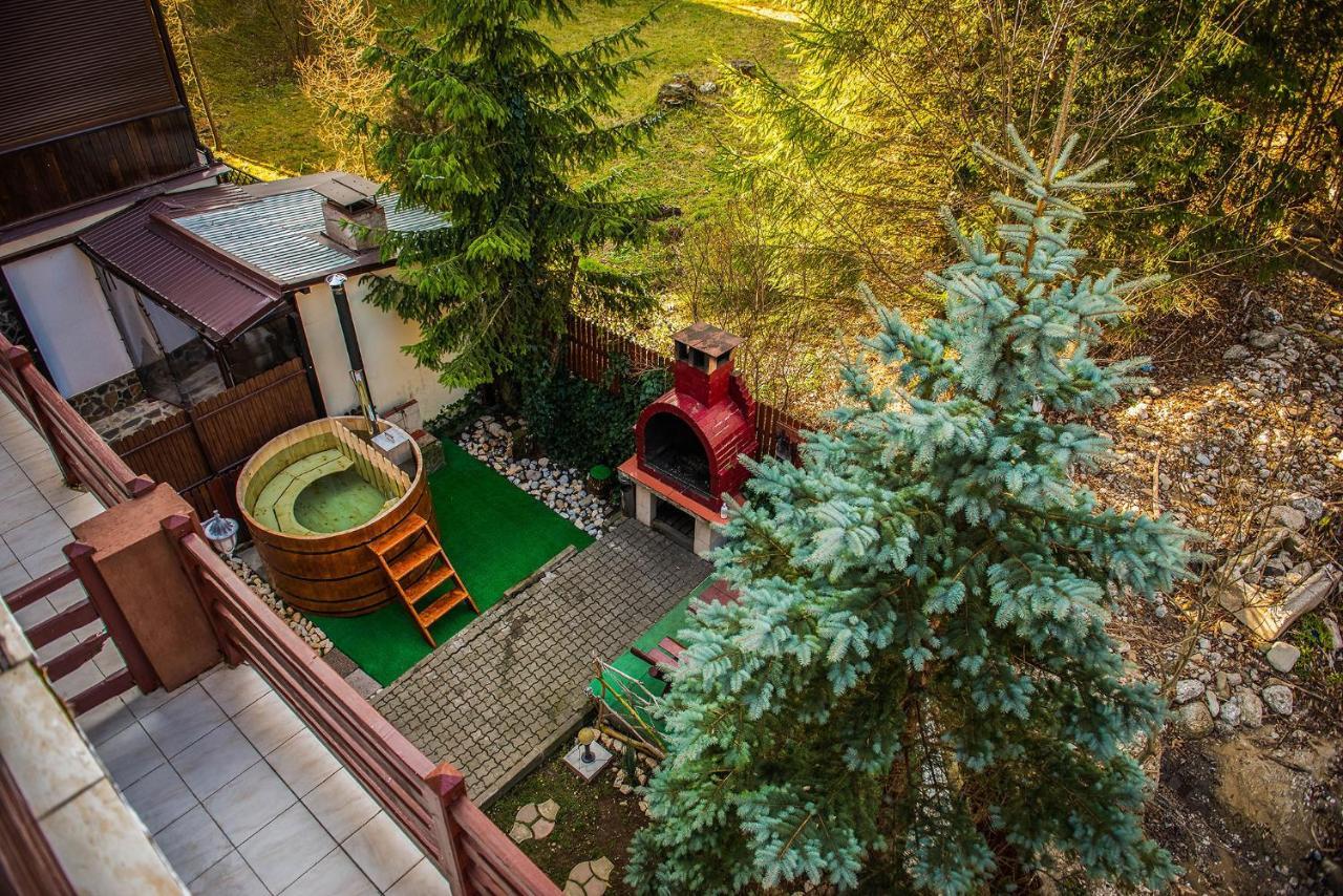 Buşteni Casa Maia酒店 外观 照片